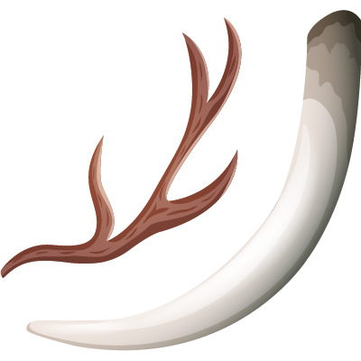 动物猎获及遗体、动物身体部分如象牙及鱼翅、或不供人类食用的动物副产品及衍生产品，如皮草，均属国际濒危动物贸易公约(CITES)下之禁运物品公约及/或本地法律