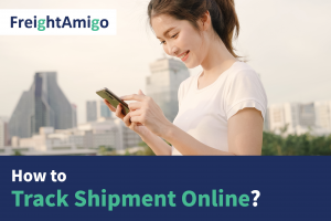 How to track shipment online?