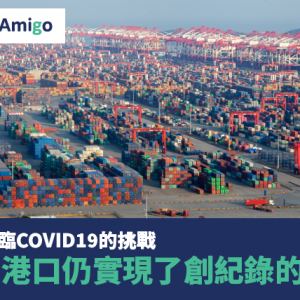 儘管面臨COVID19的挑戰 中國港口仍實現了創紀錄的增長