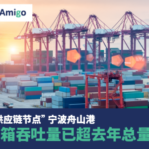 “全球供应链节点” 宁波舟山港集装箱吞吐量已超去年总量