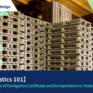 【Logistics 101】Definition of Fumigation Certificate and Its Importance in Trade