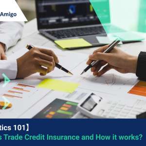【Logistics 101】 What is Trade Credit Insurance and How it works?