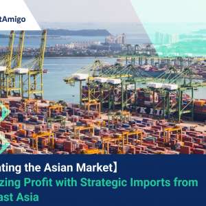 Navigating the Asian Market: Maximizing Profit with Strategic Imports from Southeast Asia