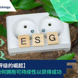 ESG评级的崛起：公司如何拥抱可持续性以获得成功
