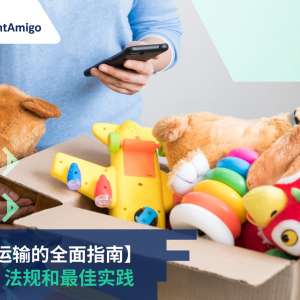 【玩具运输的全面指南】 包装、法规和最佳实践, FreightAmigo