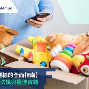 【玩具運輸的全面指南】 包裝、法規與最佳實踐, FreightAmigo