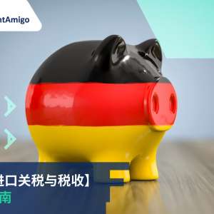 德国的进口关税与税收： 综合指南