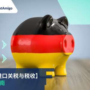德国的进口关税与税收： 综合指南