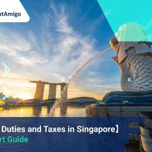 An Expert Guide to Import Duties and Taxes in Singapore