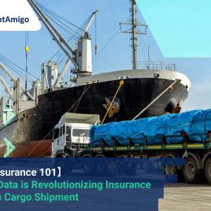 Insurance Claims, FreightAmigo