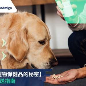 寵物保健品, FreightAmigo