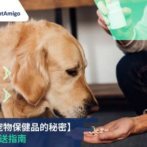 宠物保健品, FreightAmigo