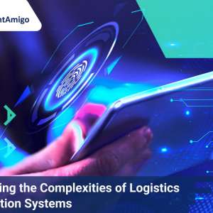 Navigating the Complexities of Logistics Information Systems