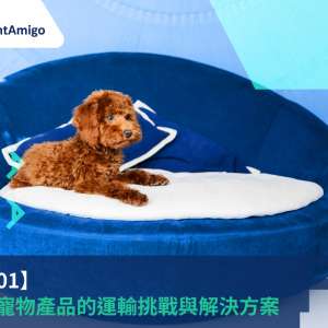 【物流101】超大型寵物產品的運輸挑戰與解決方案