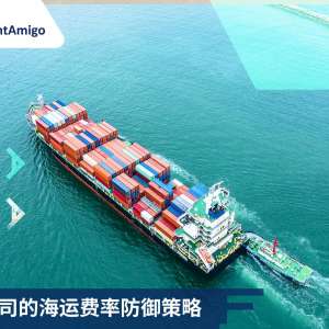 货运公司 的 海运费率 防御策略