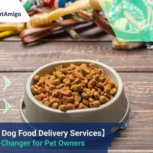 【The Rise of Dog Food Delivery Services】 A Game-Changer for Pet Owners