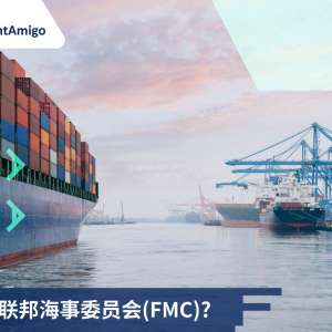 什么是 联邦海事委员会( FMC )?