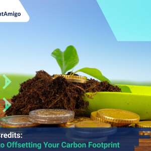Carbon Credits: A Guide to Offsetting Your Carbon Footprint