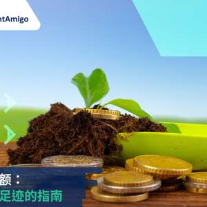 碳信用额：抵消碳足迹的指南