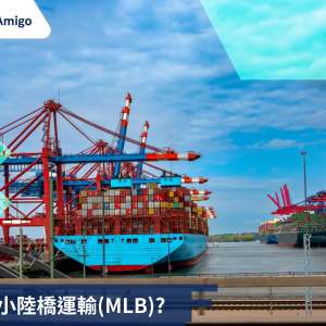 什麽是小陸橋運輸(MLB)?