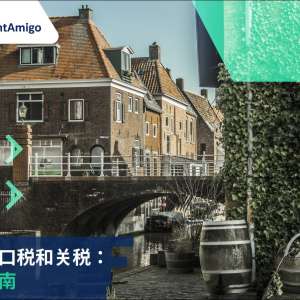 荷兰进口税, FreightAmigo