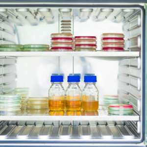 Safeguarding Pharmaceutical Potency: Importance of Cold Chain Management