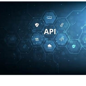 Potential of Shipping API in the eCommerce Industry