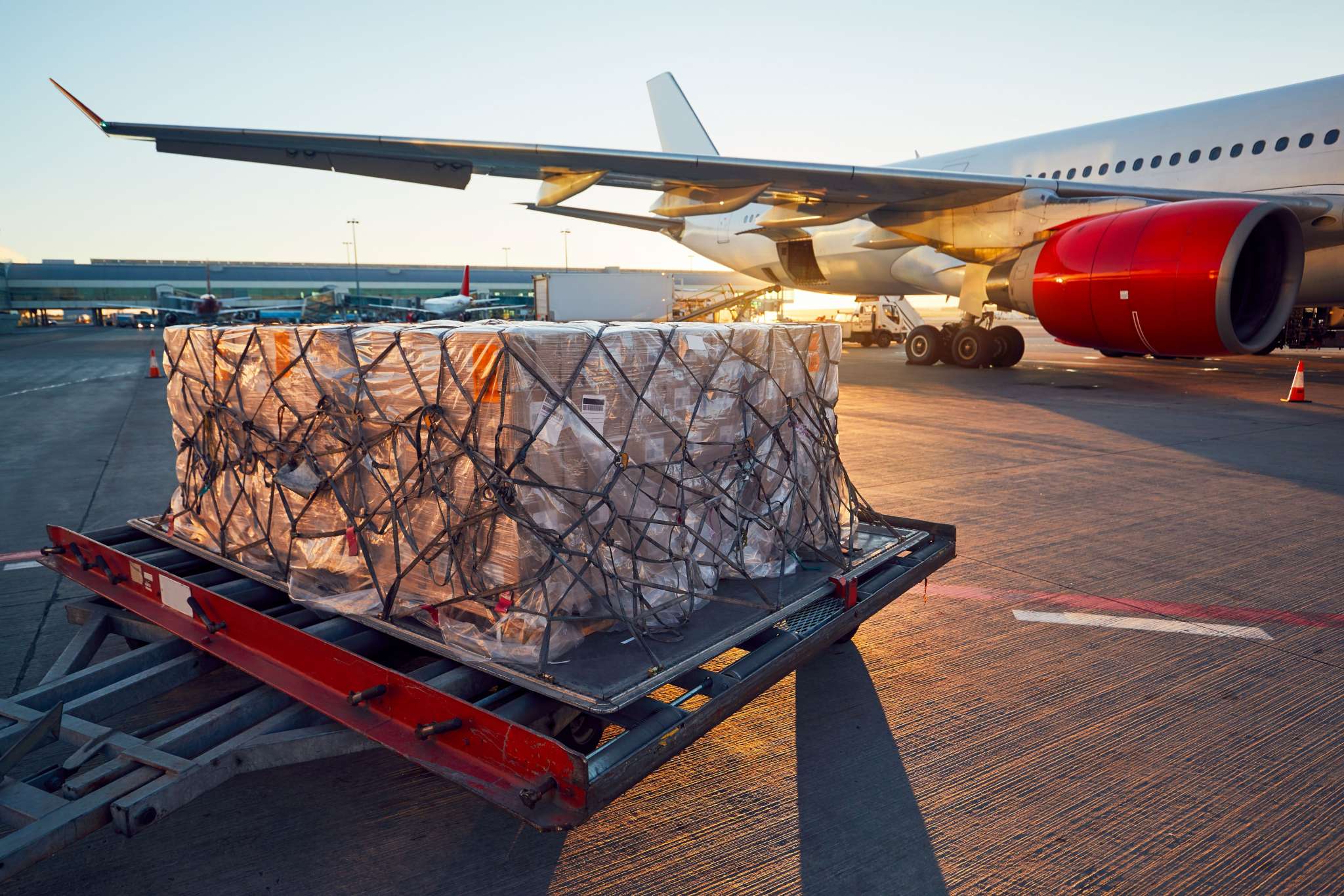 Perishable goods by air | FreightAmigo