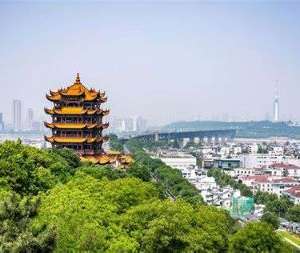 Wuhan to Vietnam