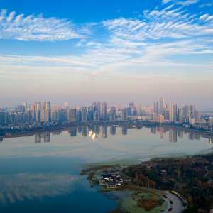Hangzhou to the US | FreightAmigo