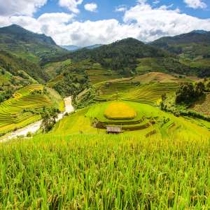 Hangzhou to Vietnam | FreightAmigo