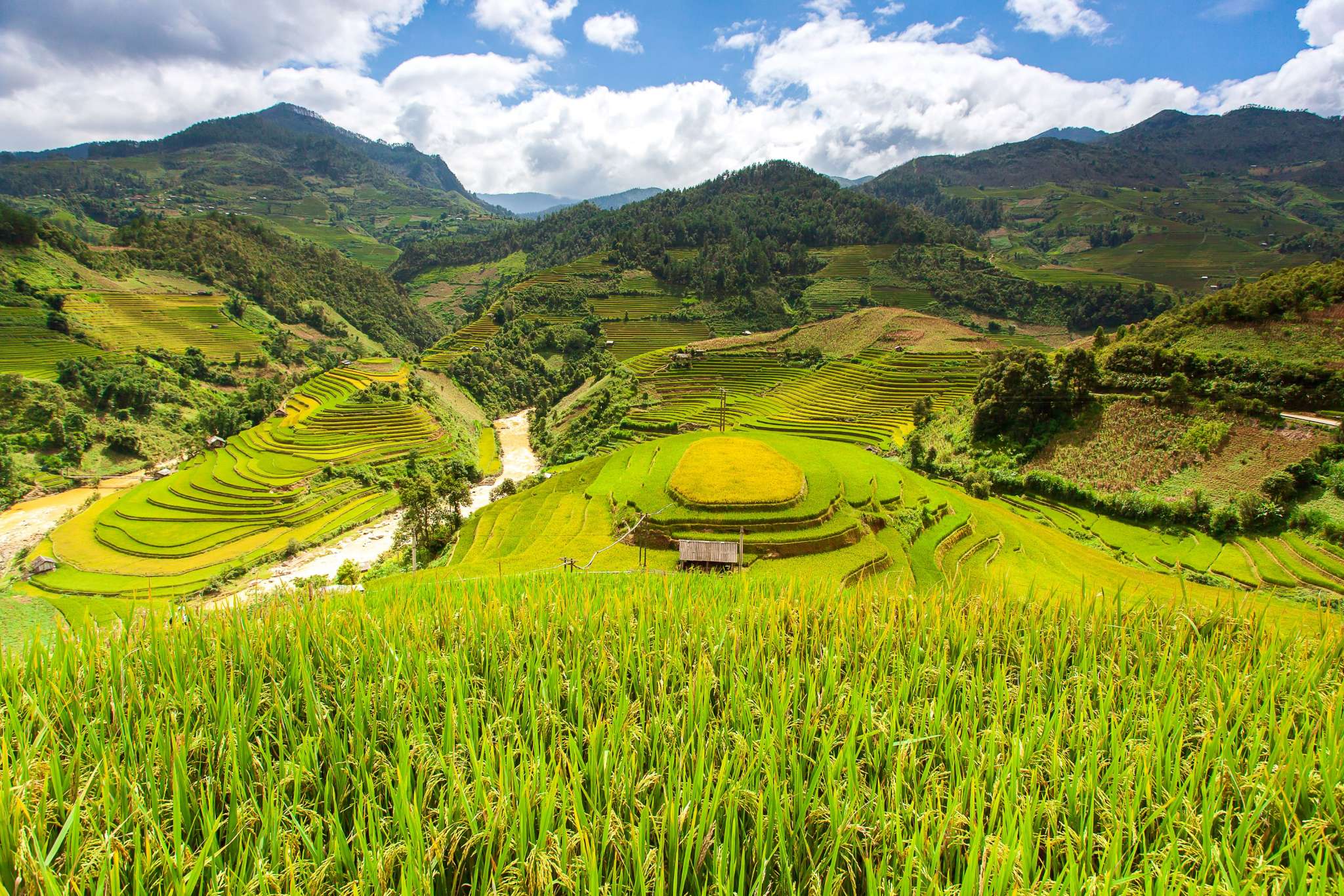 Hangzhou to Vietnam | FreightAmigo