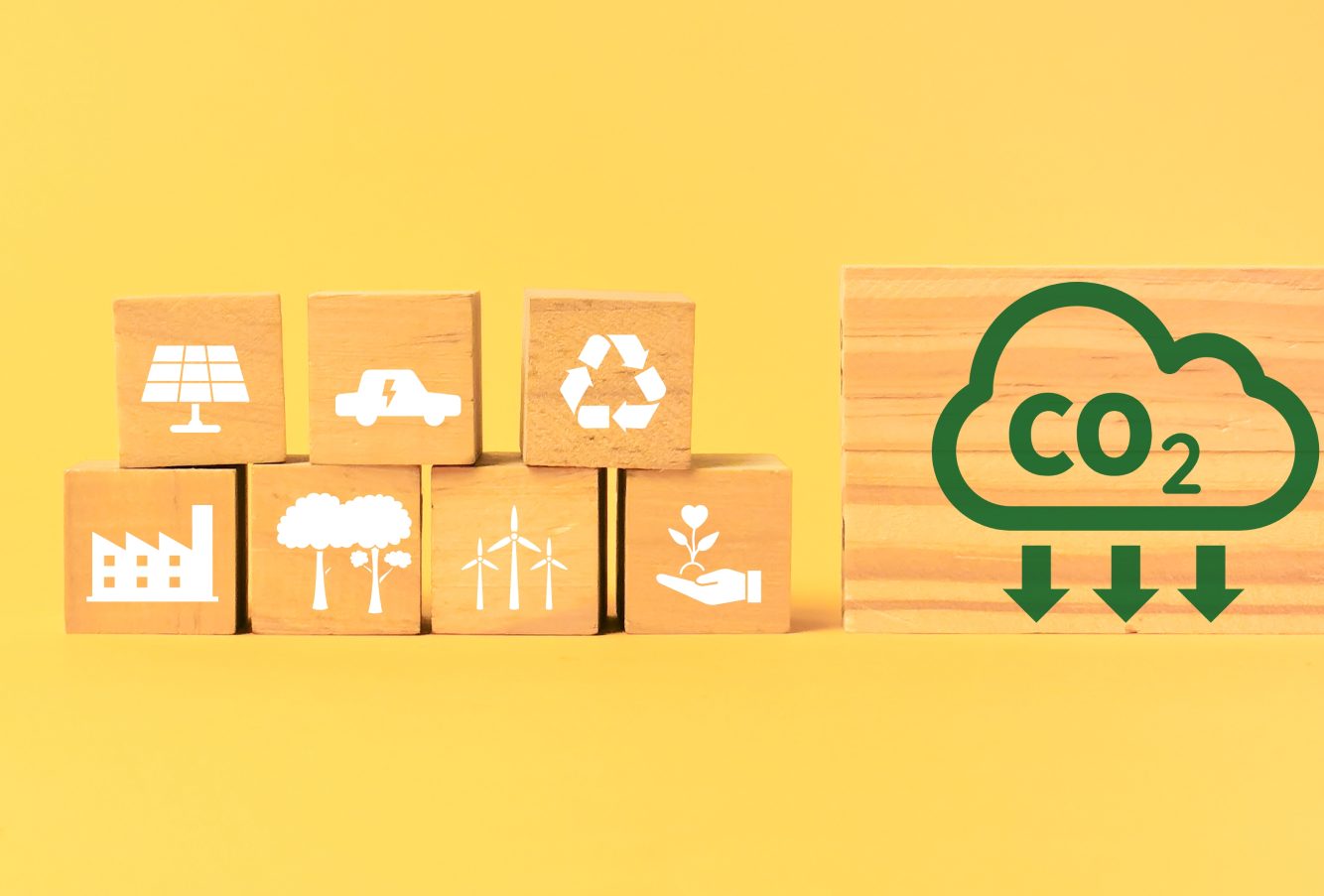 Carbon Offset Plans Practice Luxury Goods Logistics