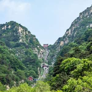 from Taishan to Vietnam