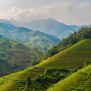 Freight from humen to vietnam