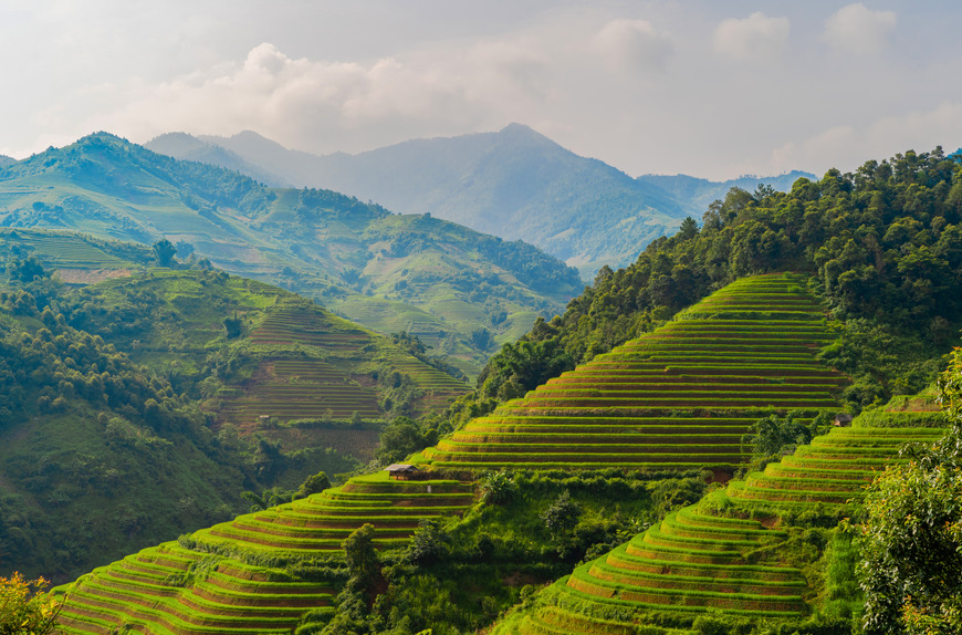 Freight from humen to vietnam