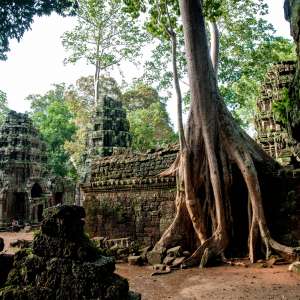 shipping from Waigaoqiao to Cambodia