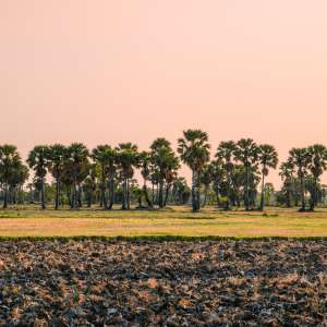 A Comprehensive Guide to Freight from Basuo Port to Cambodia