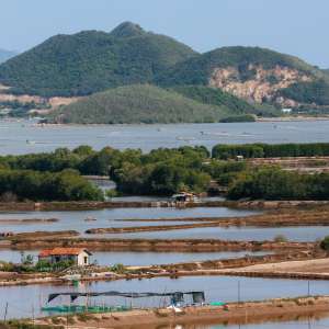 A Comprehensive Guide to Freight from Gaosha Port to Vietnam