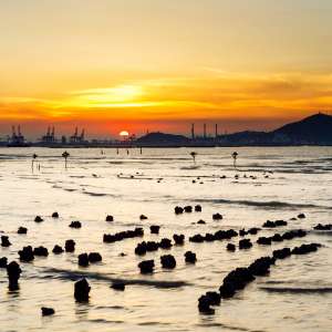 A Comprehensive Guide to Freight from Jiuzhou Port to Vietnam