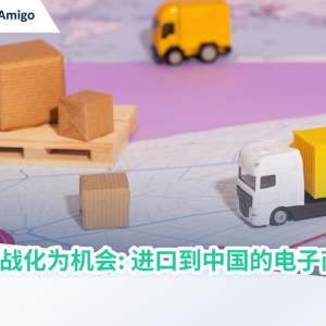将挑战化为机会：进口到中国的电子商贸
