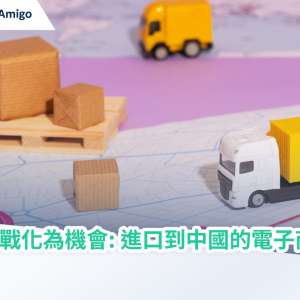 將挑戰化為機會: 進口到中國的電子商貿