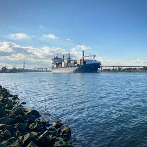 freight from Qingdao to the UAE
