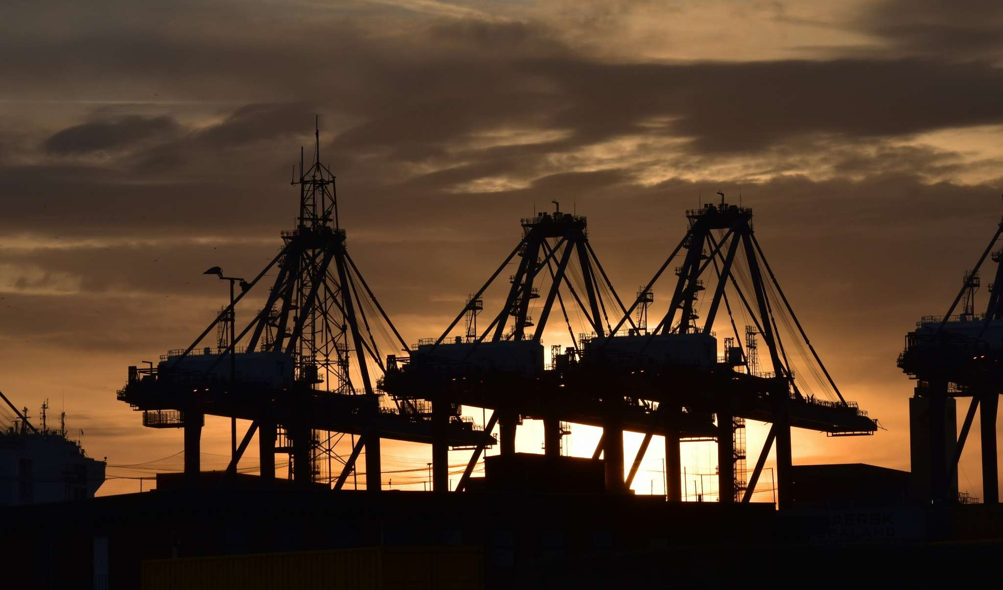 freight from qingdao port to netherlands