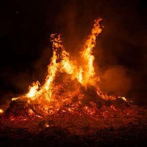 Navigating Supply Chain Disruptions: How FreightAmigo Helps Businesses Overcome Logistics Challenges Amid Los Angeles Wildfires