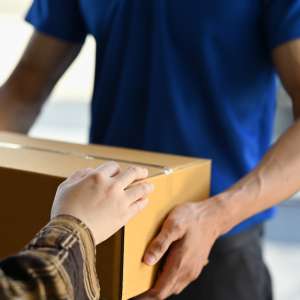 Case Studies: Successful Fine Art Shipments Across Different Modes
