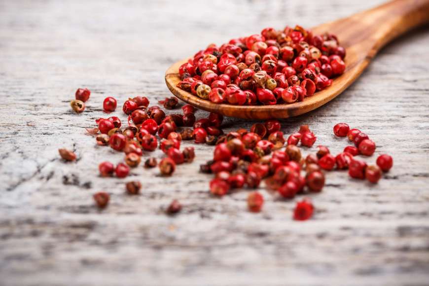 Morocco’s Record Pepper Exports: A Case for Efficient International Logistics