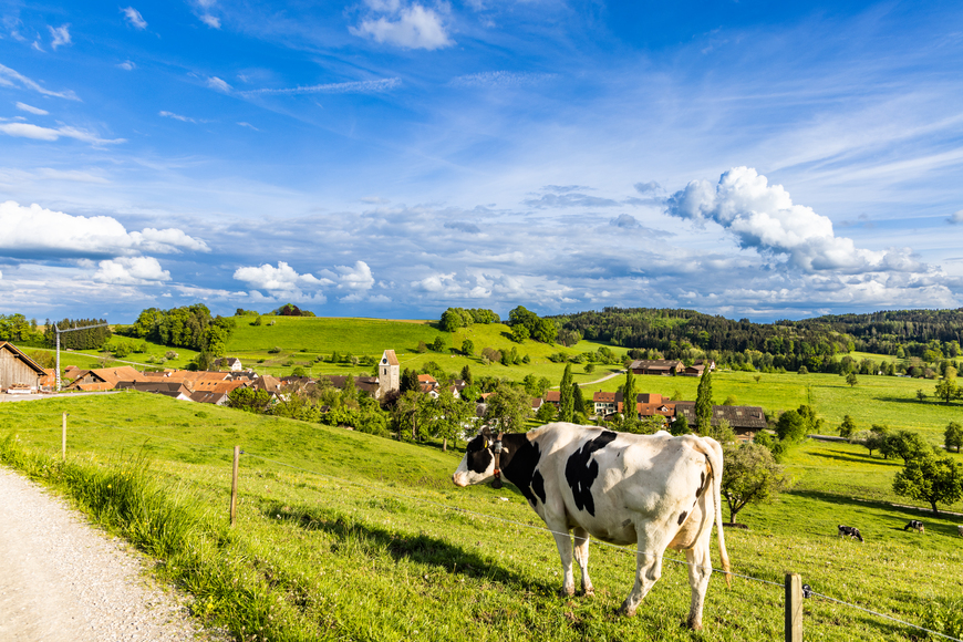 Limousin: France's Hidden Gem for Nature Lovers and Foodies