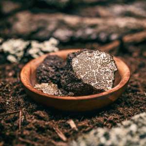Greenland's Rare Earth Revival: Reshaping Global Supply Chains