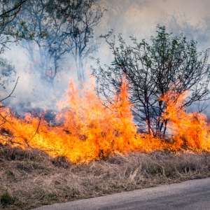 Amsterdam Island Wildfire: A Wake-Up Call for Remote Location Logistics